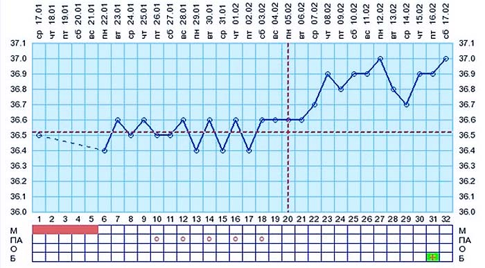 Температура 37 после ковида. График базальной температуры при беременности эко. Западение на графике базальной температуры. График базальной температуры после эко при беременности. Базальная температура после переноса эмбриона при эко.