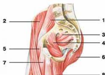 Quadriceps femoris – บาดเจ็บ 2 ครั้ง