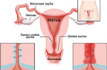 Se préparer pour l'éco.  l'infertilité féminine.  Et que faire pour tomber enceinte ?  Laisser les mauvaises habitudes dans le passé