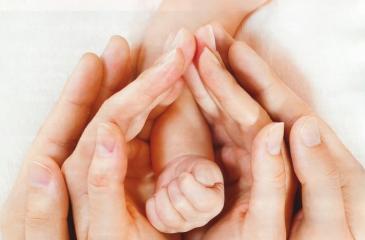 IVF 후 임신 확인
